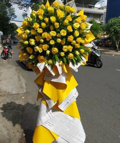 VẠN SỰ THÀNH CÔNG