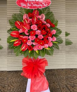 KHAI TRƯƠNG HỒNG PHÁT