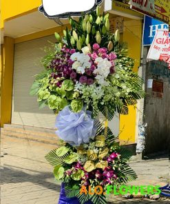 VỀ VỚI CỘI NGUỒN