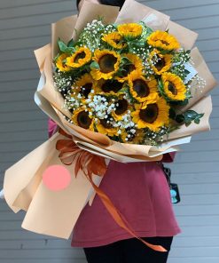 HẠNH PHÚC TƯƠNG LẠI